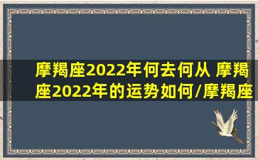 摩羯座2022年何去何从 摩羯座2022年的运势如何/摩羯座2022年何去何从 摩羯座2022年的运势如何-我的网站